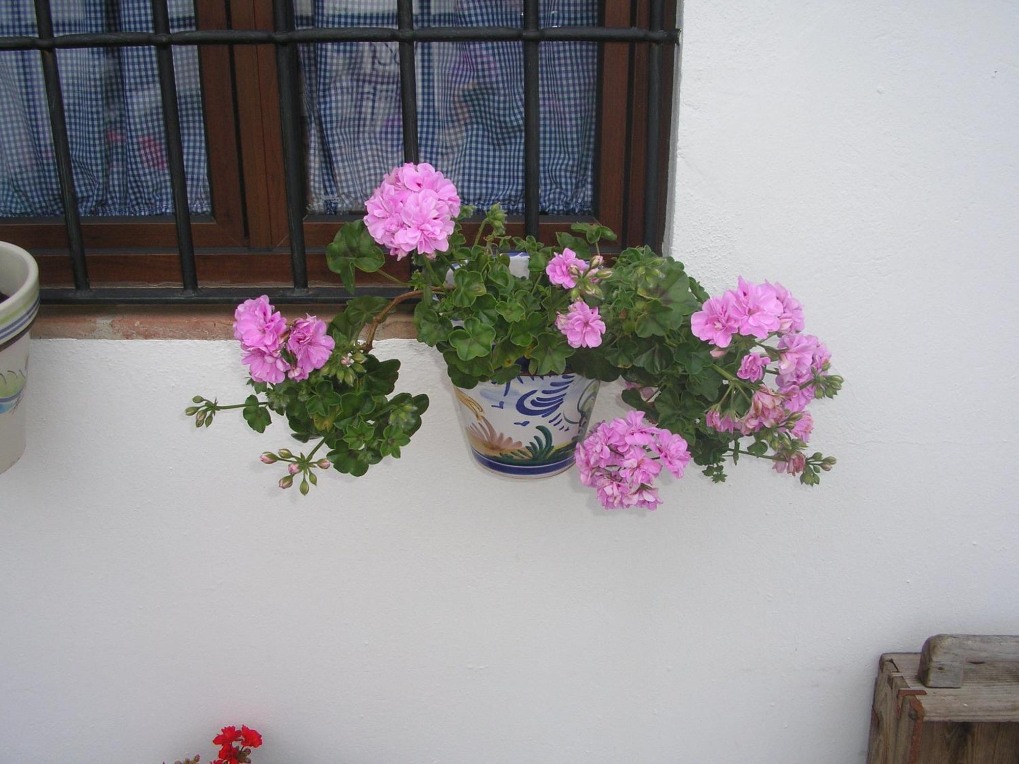 Casa Rural Y Restaurante Casa Adriano Affittacamere Alanís Esterno foto
