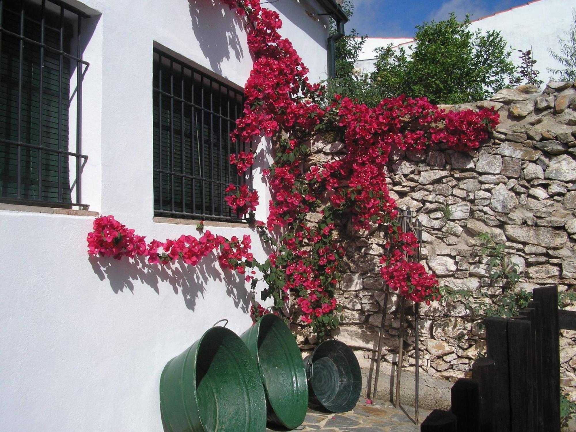 Casa Rural Y Restaurante Casa Adriano Affittacamere Alanís Esterno foto